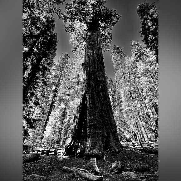 Meet your Posher, Jessica - Picture 9 of 13